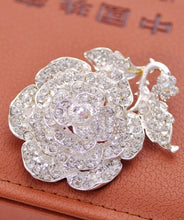 Carregar imagem no visualizador da galeria, Broche Cristais da Austria # XZ053.8095