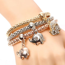 Carregar imagem no visualizador da galeria, Bracelete Siver and Gold Mix # SL562.6585