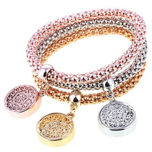 Carregar imagem no visualizador da galeria, Bracelete Siver and Gold Mix # SL562.6585